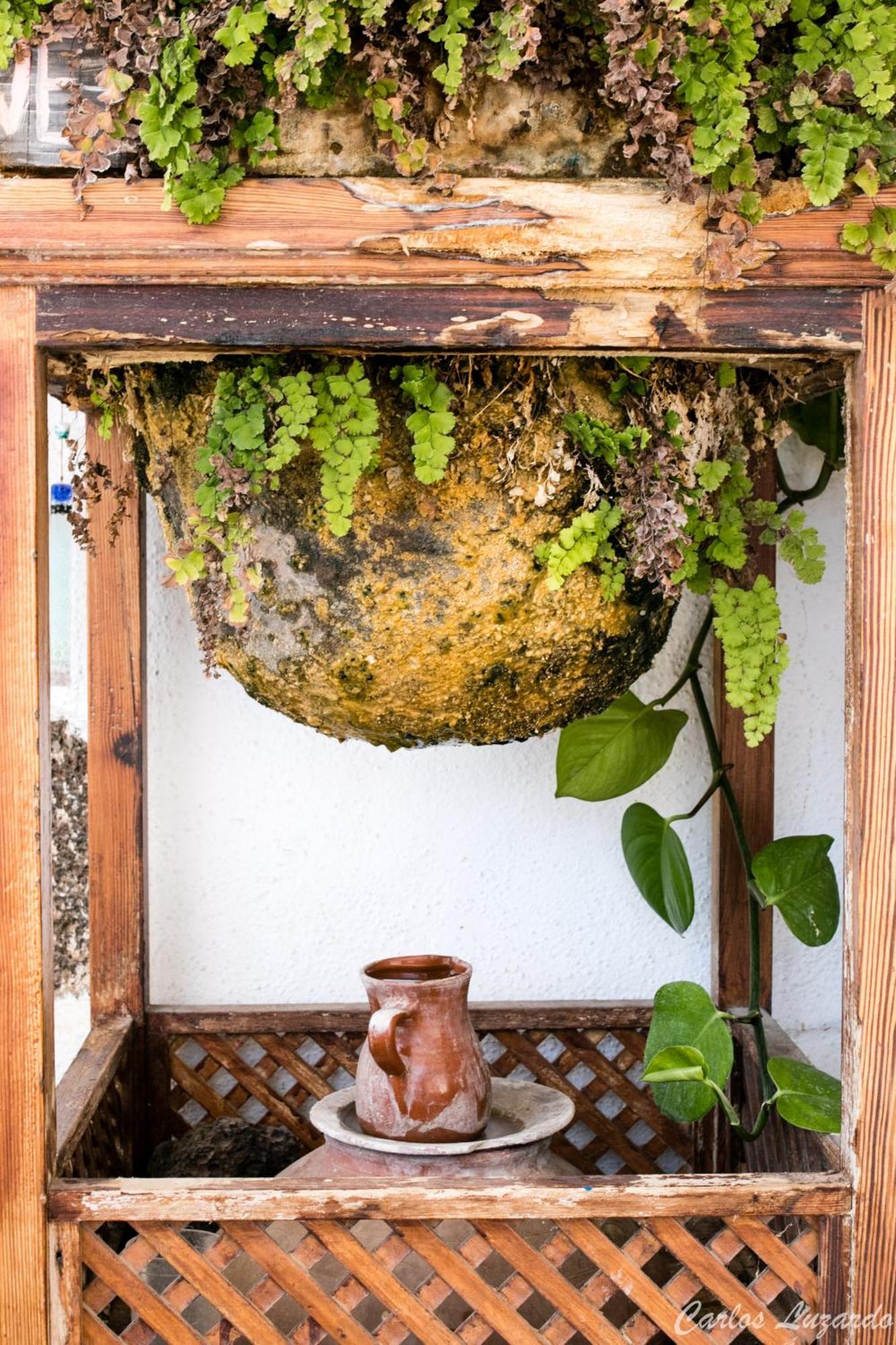 Vuelve Al Origen - Nomadas Digitales Tegueste Exterior foto