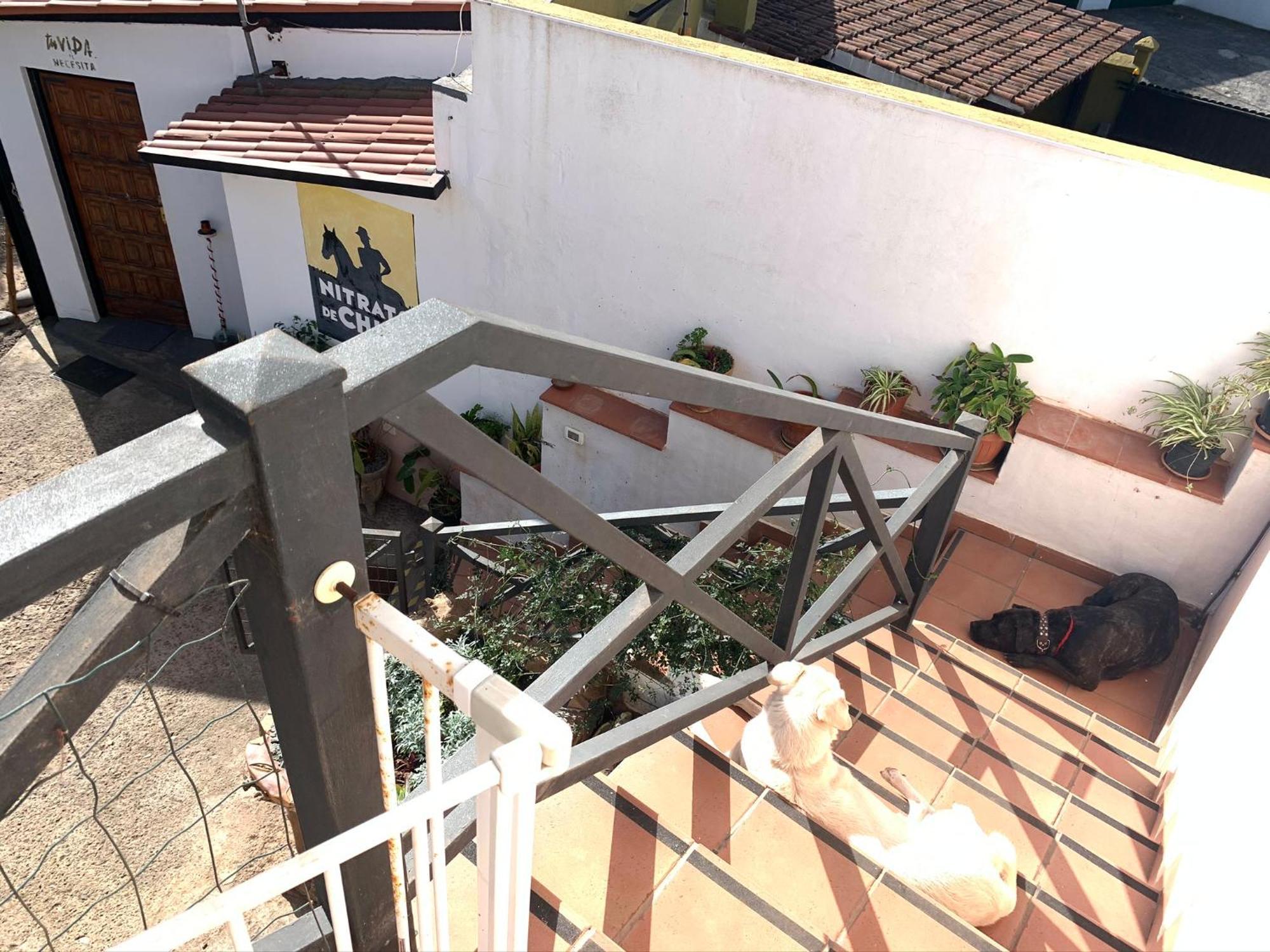 Vuelve Al Origen - Nomadas Digitales Tegueste Exterior foto